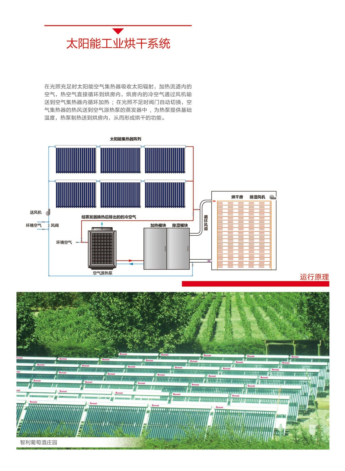 6766澳门娱乐直营太陽能|太陽能熱水器|燃氣熱水器|電熱水器|抽油煙機|燃氣竈具